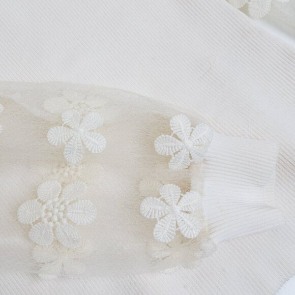 Anthropologie DOLAN Sheer Sleeve Appliqué Sweater Floral Fairy Whimsy Ivory - Picture 9 of 12